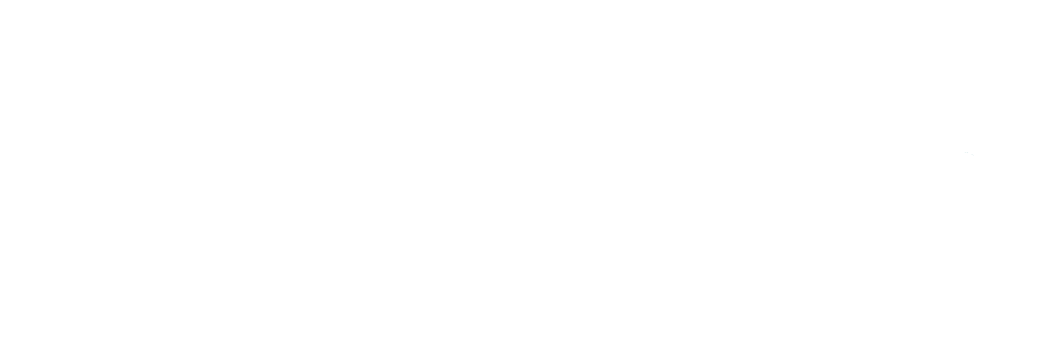 NeuroAmp. Amplifying minds, culture and performance.